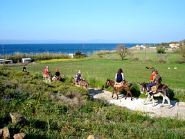 donkey treks, horseback riding, Lesvos, Greece