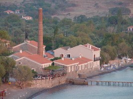 Olive Press Hotel, Molyvos, Lesvos