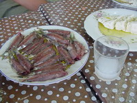 Sardines in Lesvos